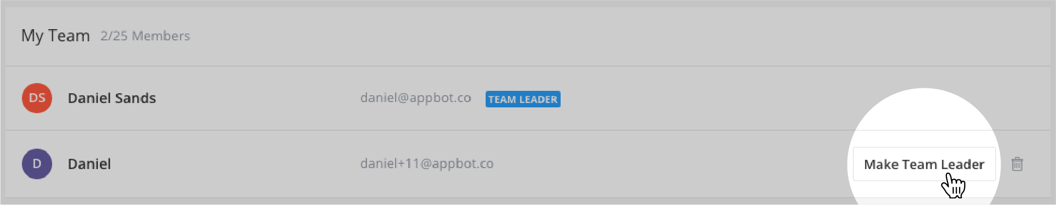 make someone team leader screenshot