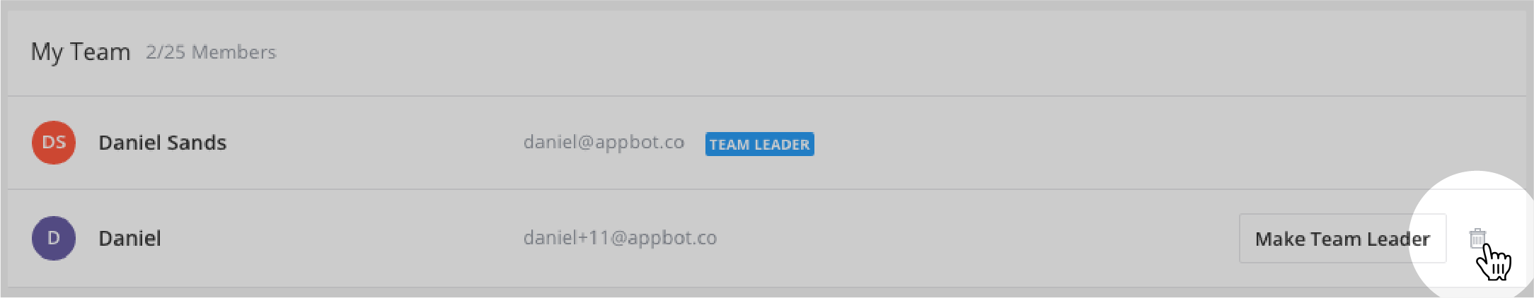 remove team member screenshot